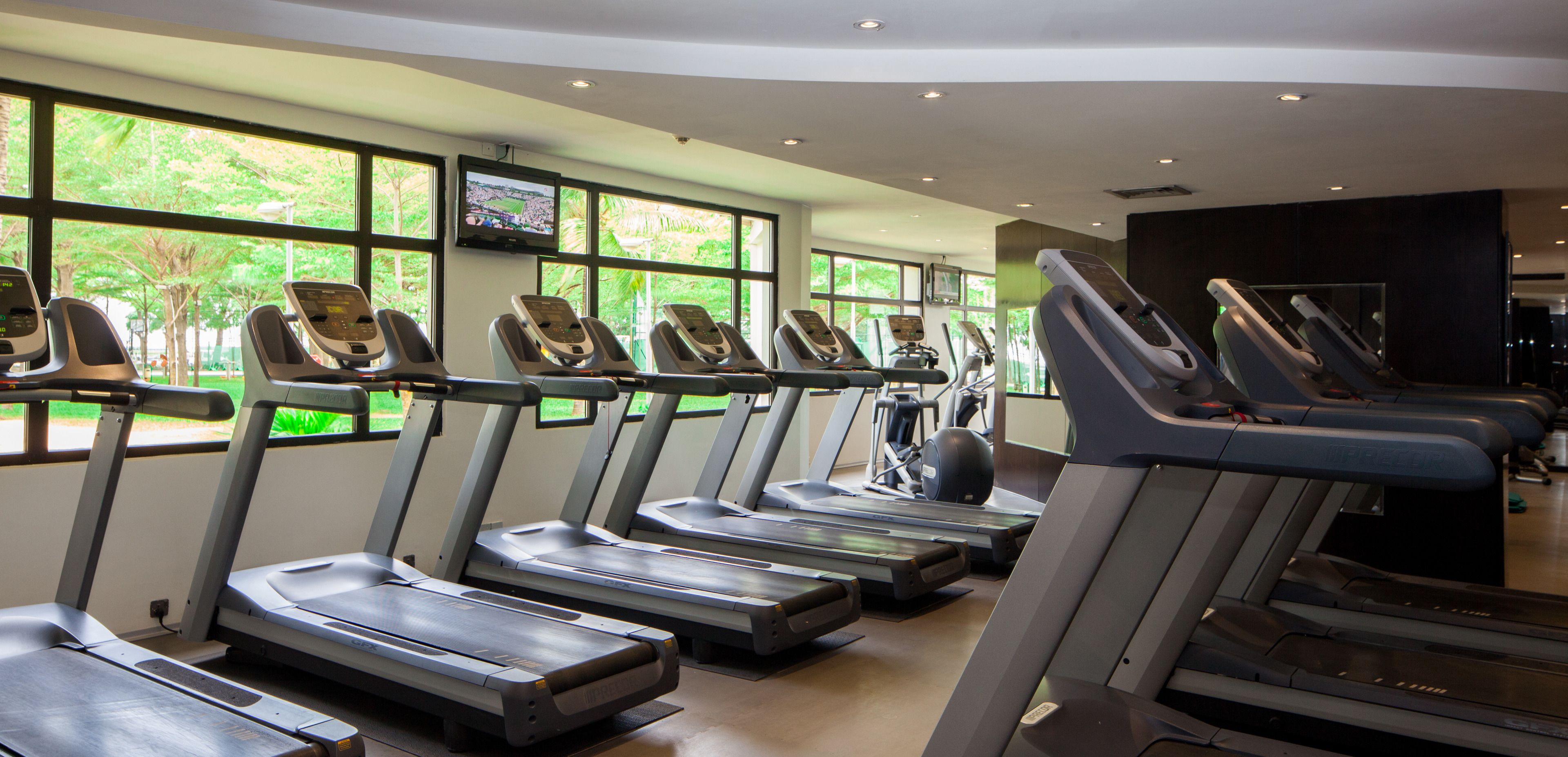 Une salle de sport avec plusieurs tapis de course alignés en rangées, de grandes fenêtres donnant sur un espace verdoyant et un téléviseur fixé au mur.