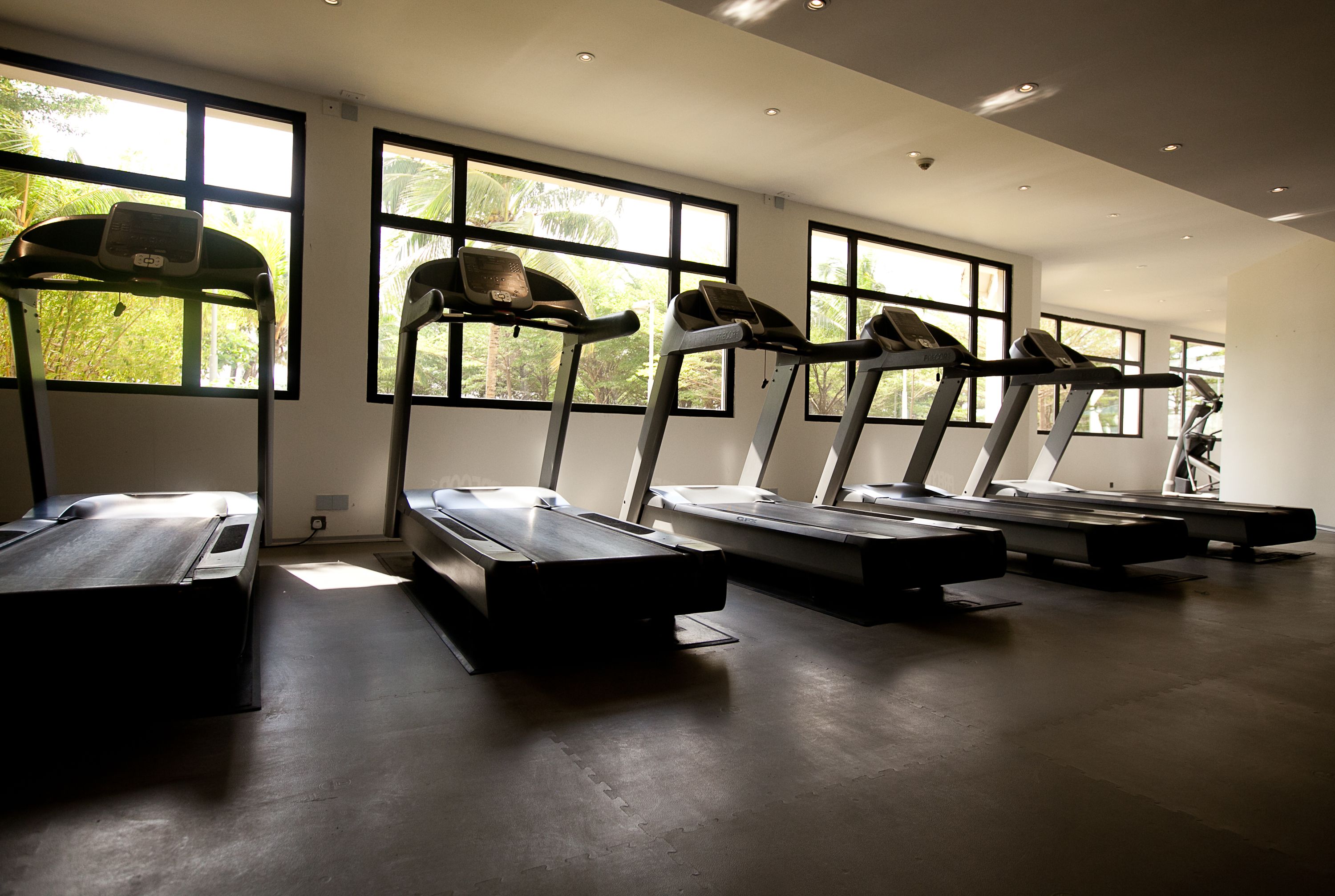 A gym with treadmills aligned against a wall with large windows.