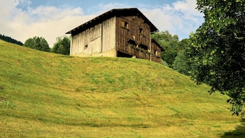 Vue sur la campagne depuis l’hébergement