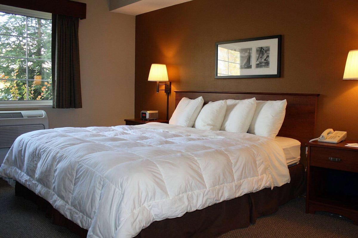 A hotel room with a large bed, two bedside lamps, a nightstand with a phone, and a window with curtains.