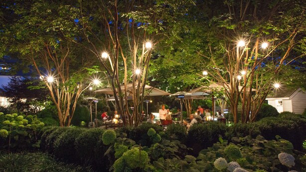 An outdoor dining area with trees and tables under string lights.