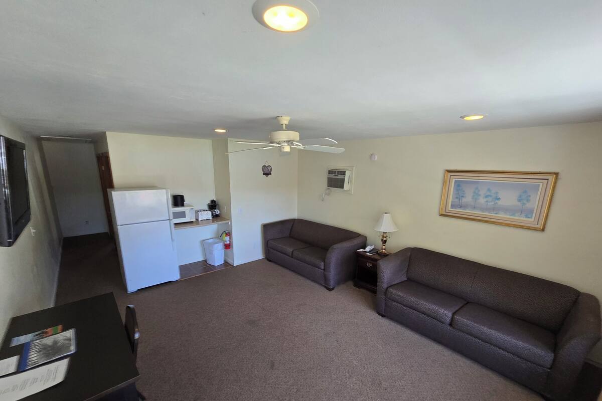 A compact living space with a kitchenette, two sofas, a small table, and a ceiling fan.