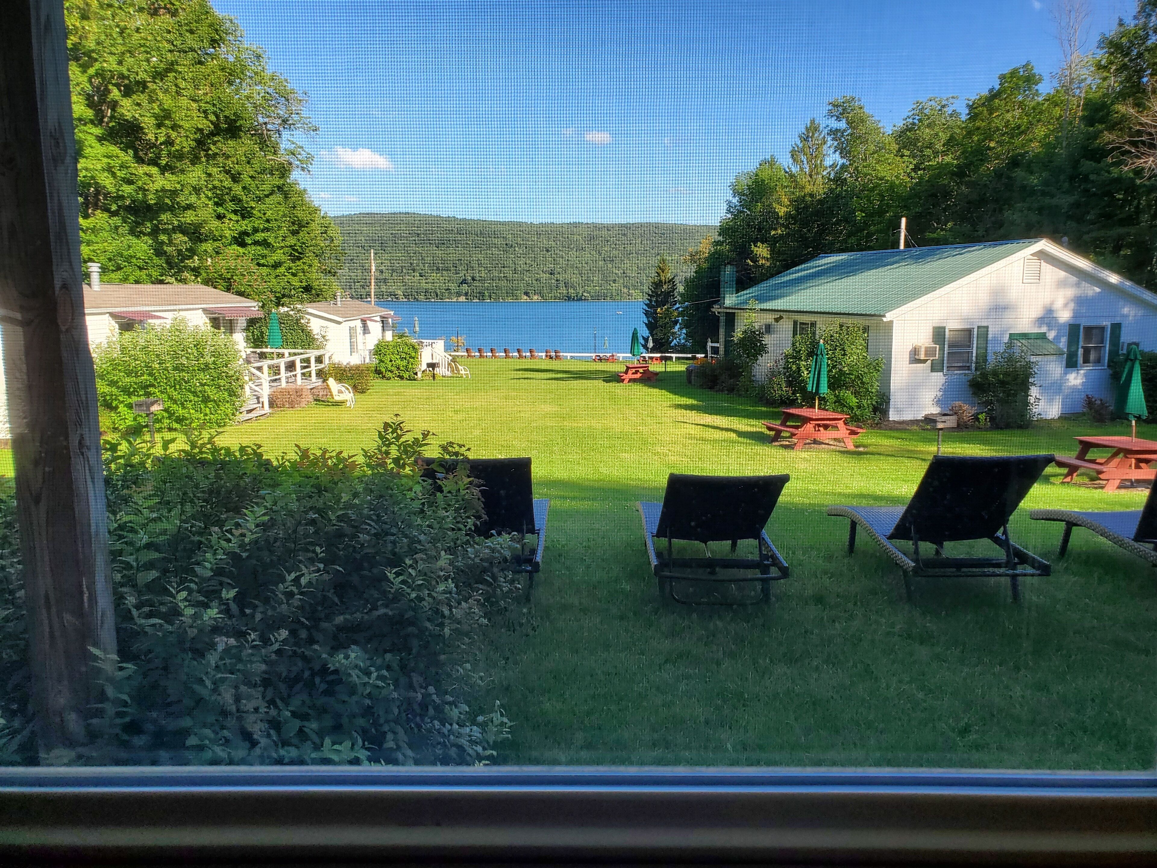 A view of a grassy area with a pool, picnic tables, and lounge chairs.