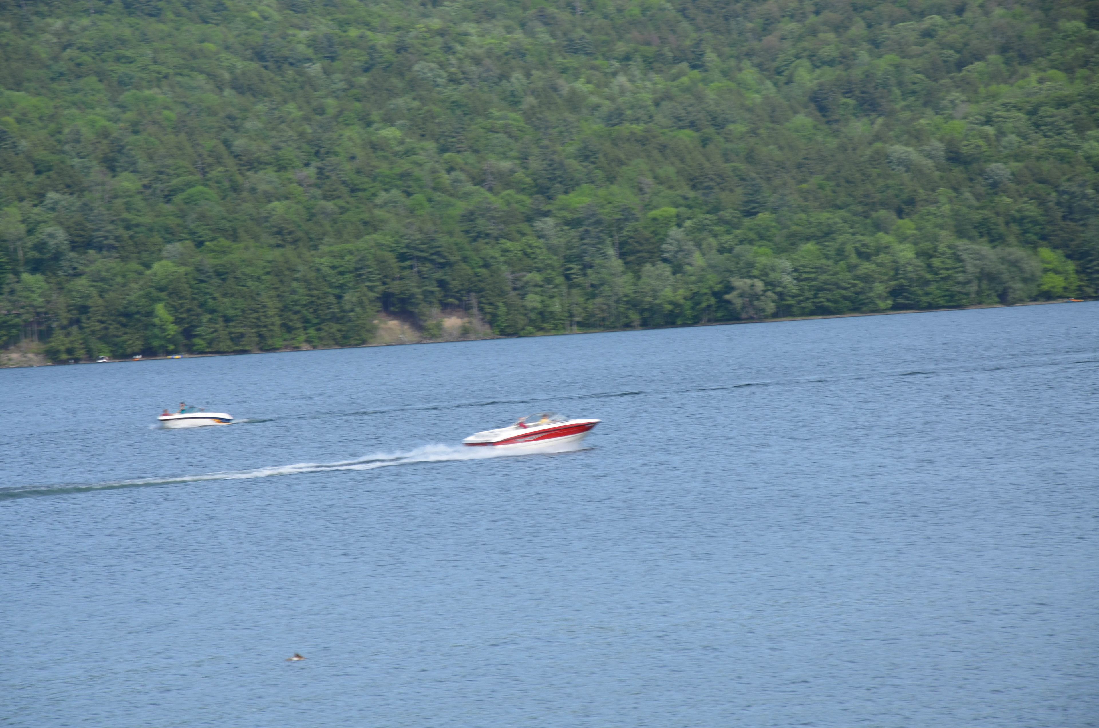 A boat on a calm lake with a forested shoreline.