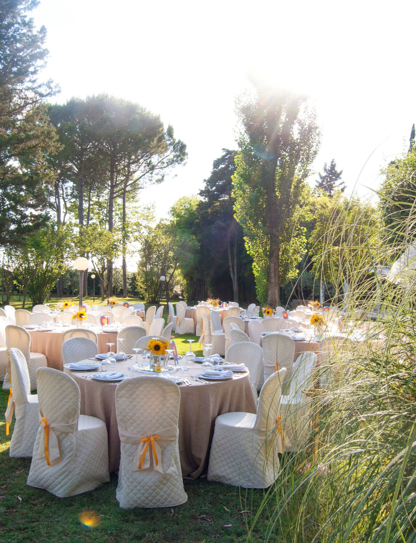 outdoor wedding area