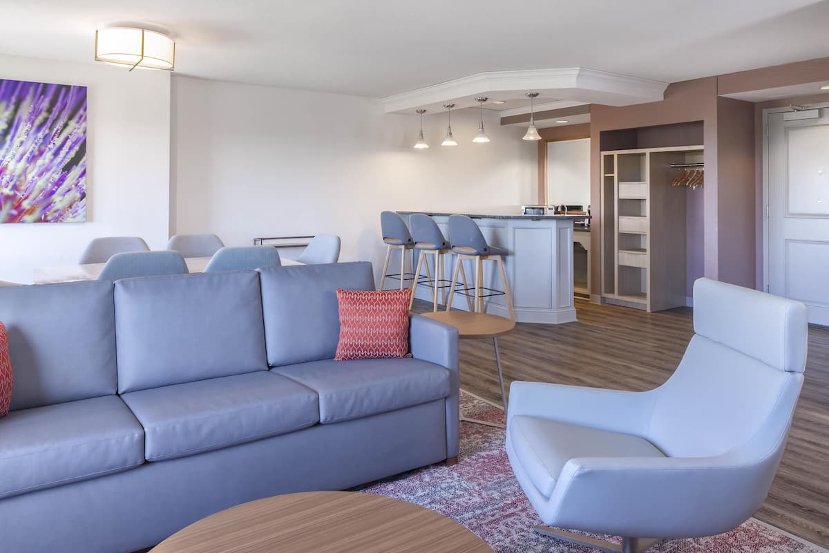 Suite – president, 1 kingsize-seng med sovesofa (1.5 Bathrooms, Accessible Shower) | Oppholdsområde | En 36-tommers LCD-TV med Parabol-TV samt TV og filmkjøp