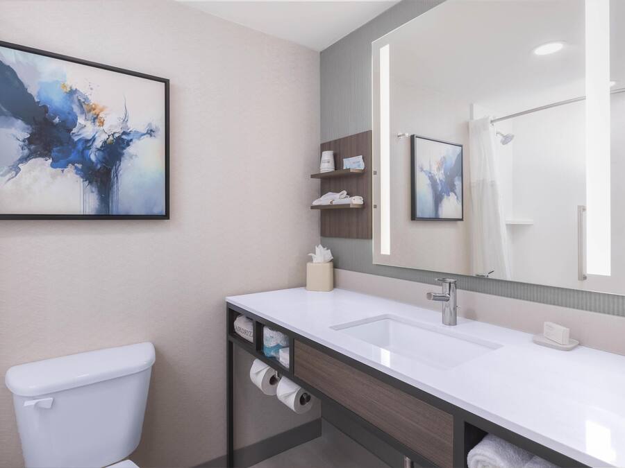 A modern bathroom with a white toilet, a sink, and a large mirror. There are shelves with toiletries and a framed abstract painting on the wall.