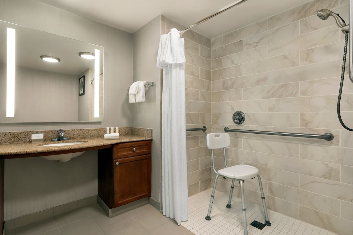 combined shower/bathtub, free toiletries, hair dryer, towels