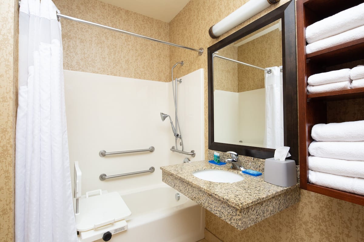 combined shower/bathtub, free toiletries, hair dryer, towels