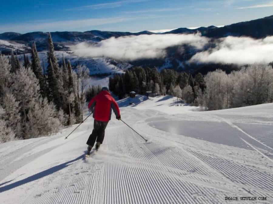 Una persona esquiando por una pendiente nevada con una montaña boscosa de fondo.