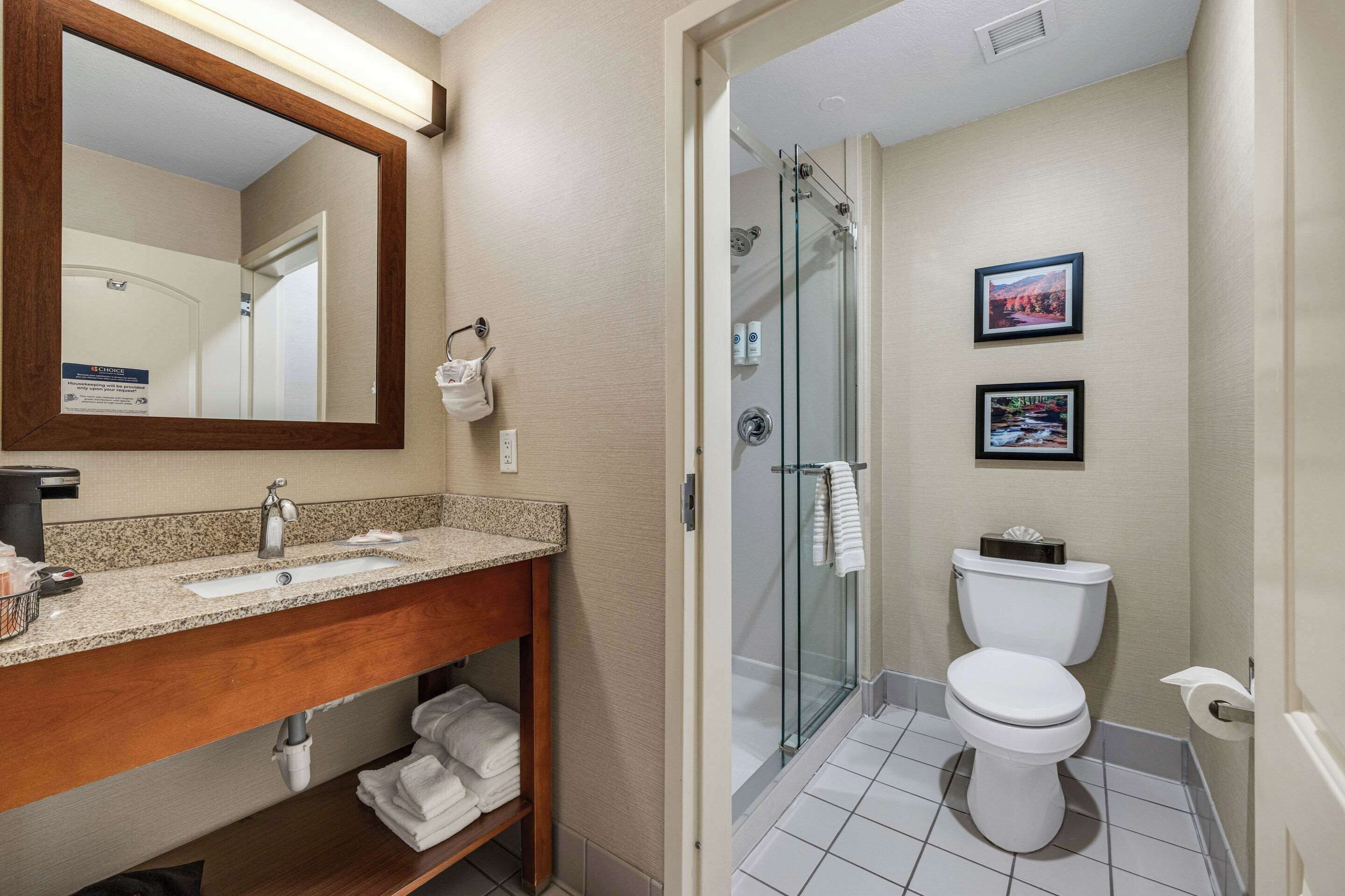 A bathroom with a sink, mirror, and toilet.