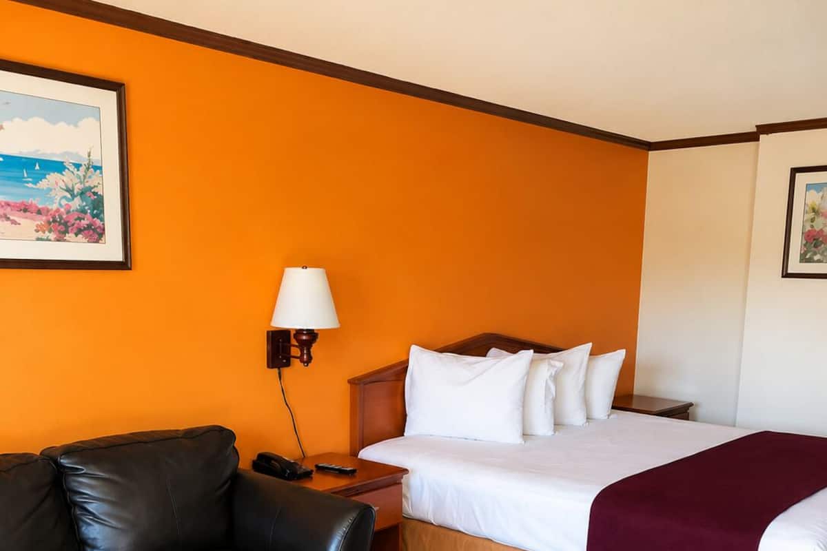 Basic-Einzelzimmer, 1 King-Bett, barrierefrei | Kostenloses WLAN