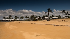 Una playa con tiendas de campaña blancas y palmeras.
