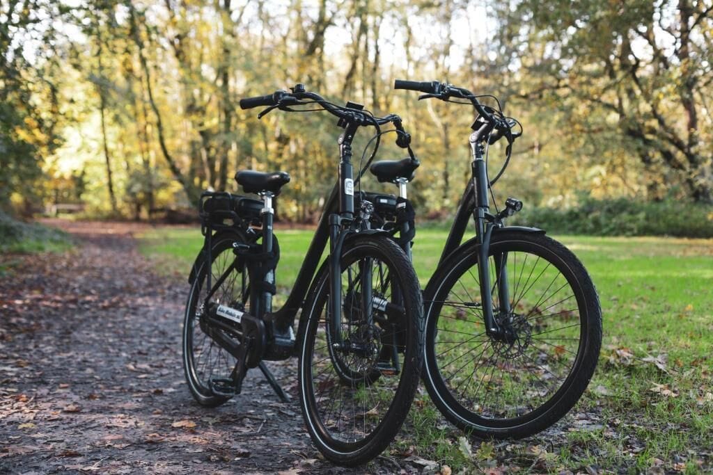 Two bicycles parked on a path in a park with trees in the background.