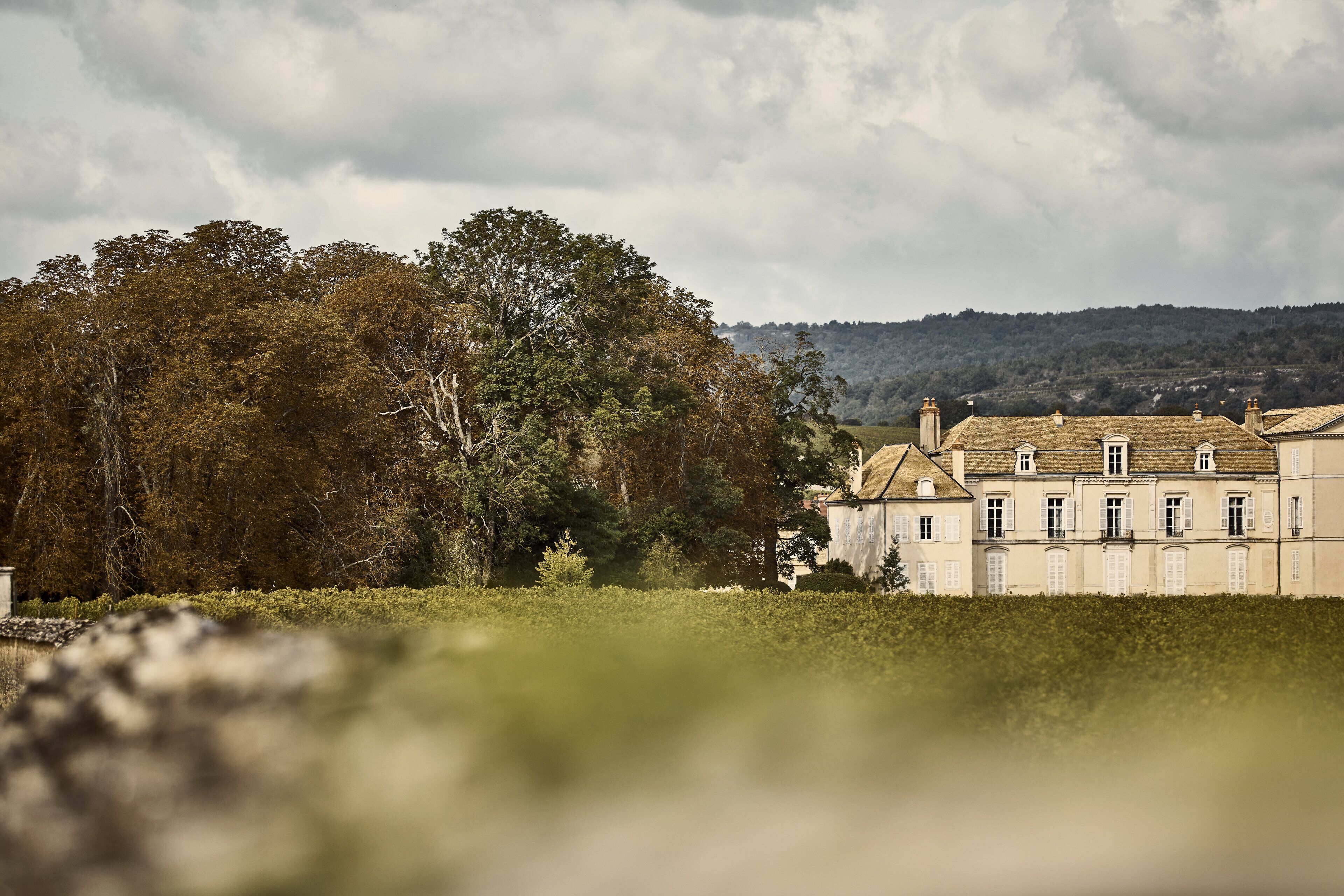 Un grand bâtiment historique, doté de nombreuses fenêtres et d’une façade symétrique, entouré d’arbres denses et surplombant un paysage vallonné.
