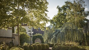 A pathway lined with neatly trimmed hedges and a weeping willow tree.