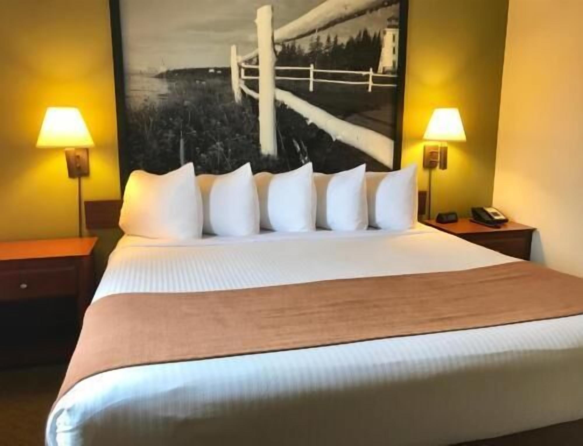 Roupas de cama premium, edredons de pluma, cofres nos quartos