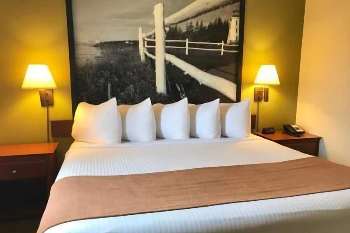Literie de qualité supérieure, couette en duvet d'oie