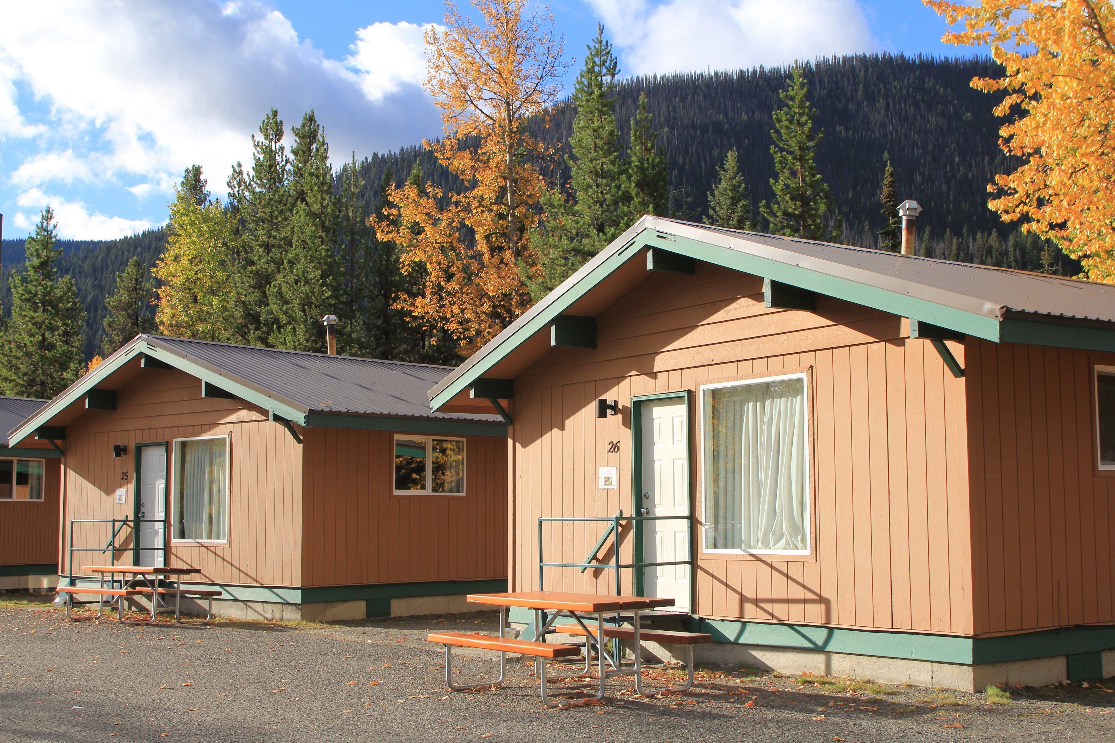 A row of cabins with picnic tables in front, set against a forest backdrop.