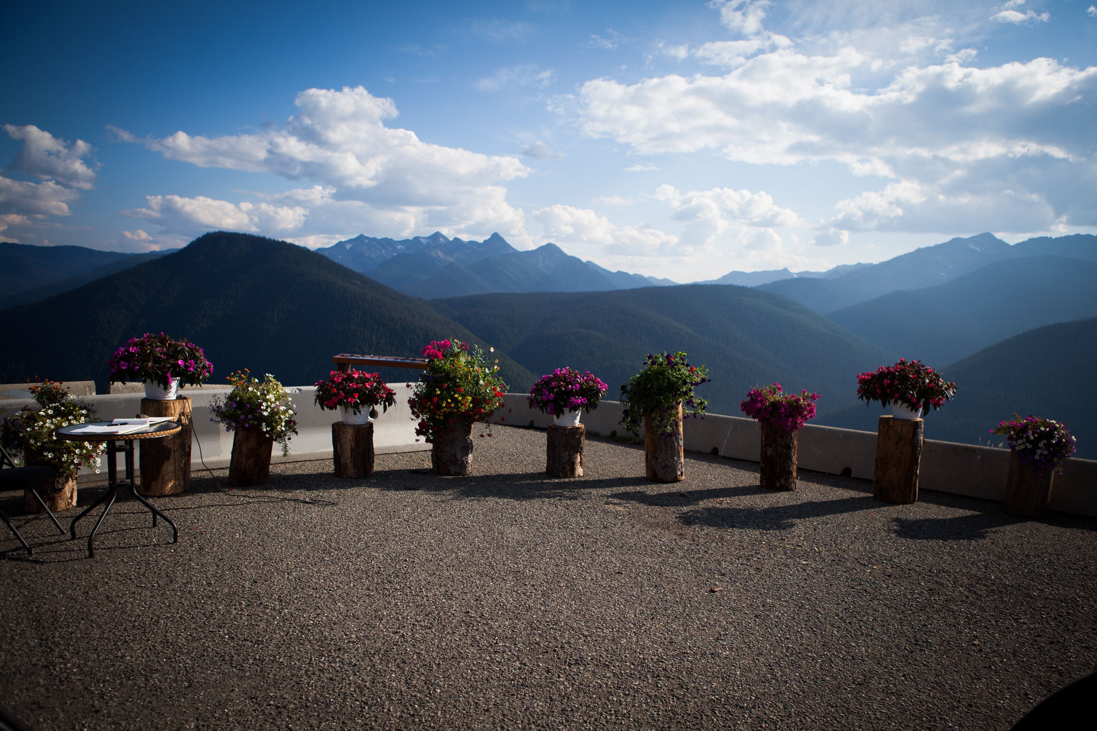 Outdoor wedding area