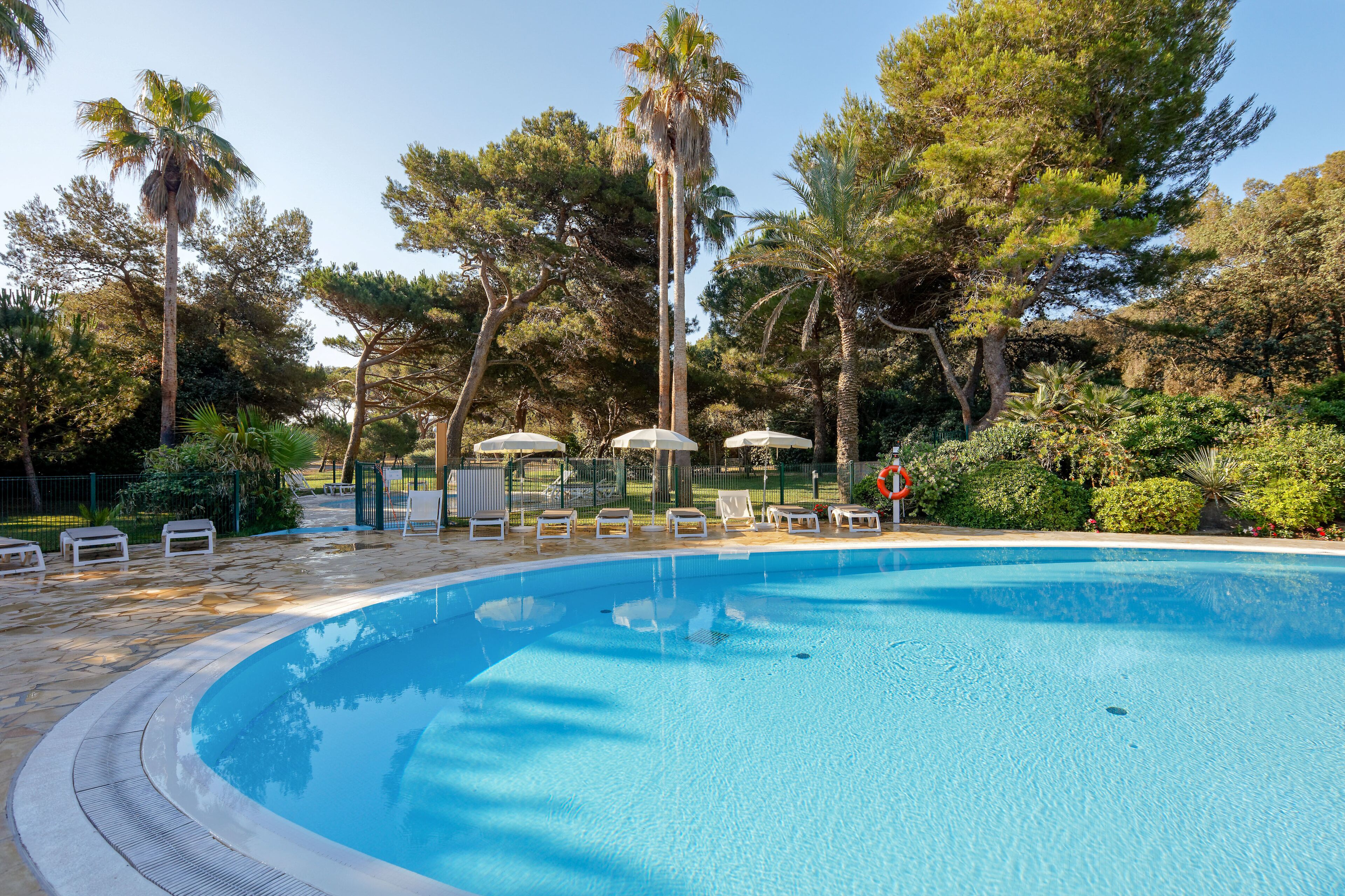A swimming pool with lounge chairs and umbrellas, surrounded by trees and greenery.