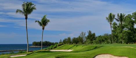 Un campo de golf con búnkeres de arena y palmeras.