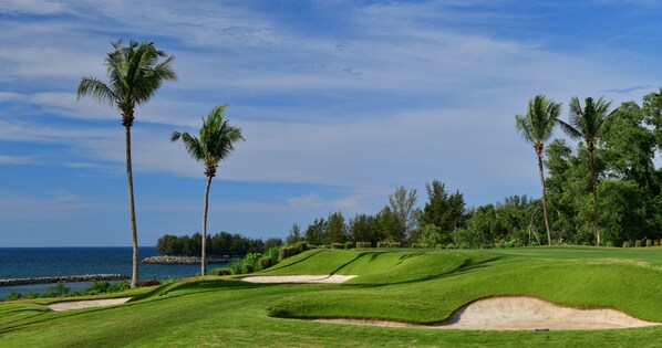 Un campo de golf con búnkeres de arena y palmeras.