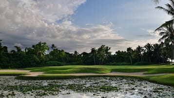 A golf course with water lilies, palm trees, and a cloudy sky.