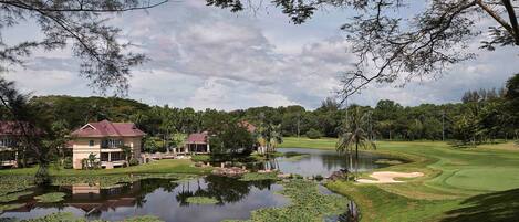 A golf course with a pond, a house, and surrounding greenery.