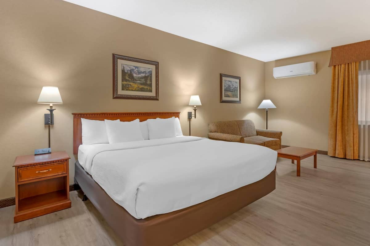 Room, 1 King Bed, Accessible, Non Smoking | Desk, iron/ironing board, free cribs/infant beds, free WiFi