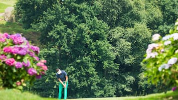 Golf view
