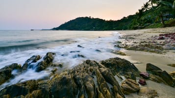 Private beach, beach bar, kayaking, fishing