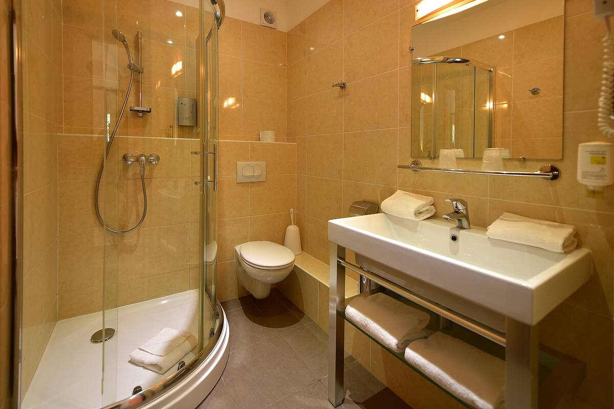 superior double room, terrace  | bathroom shower