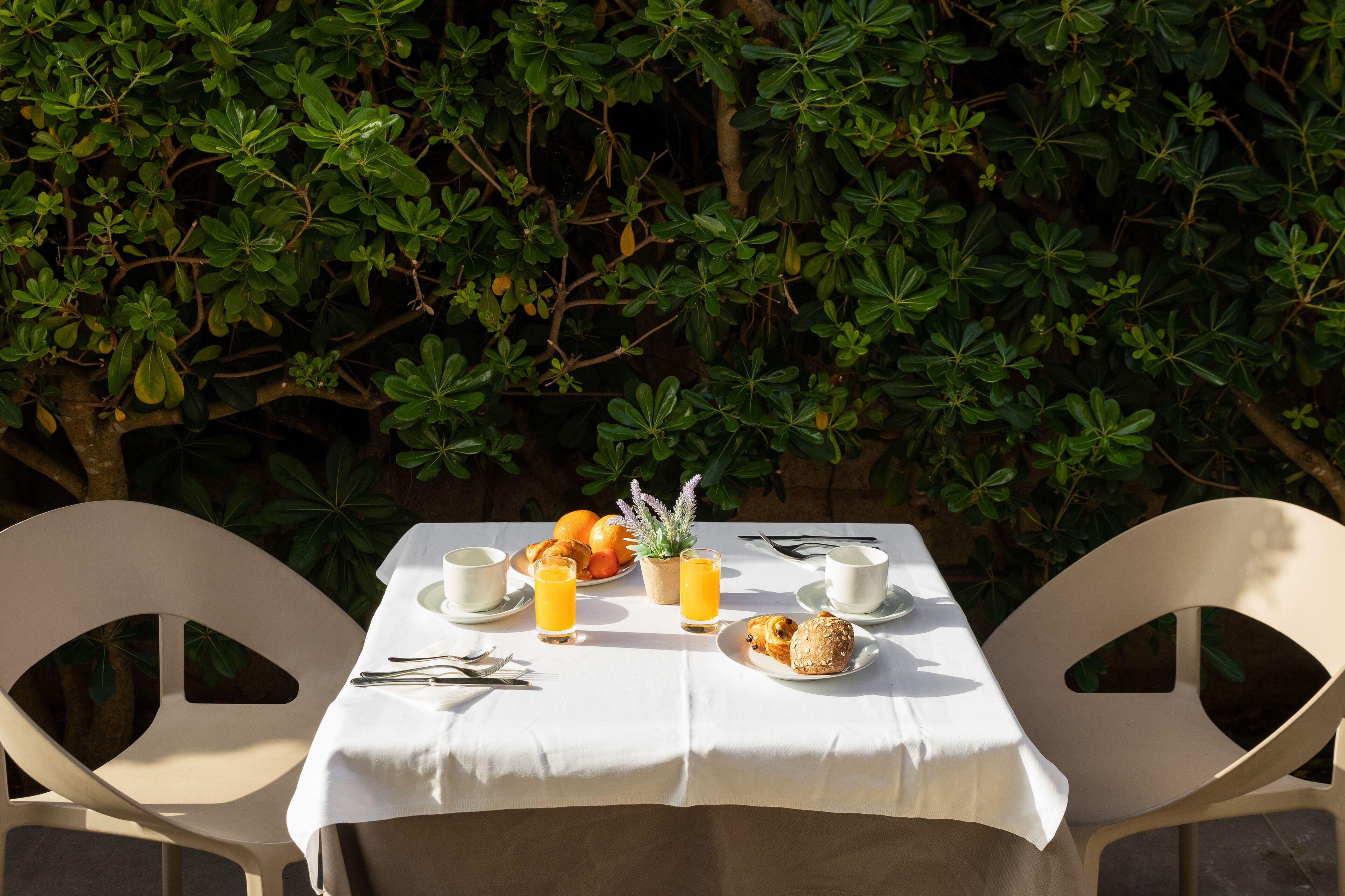 A table set for breakfast with a white tablecloth, two chairs, a plate with pastries, a glass of orange juice, and a small potted plant.