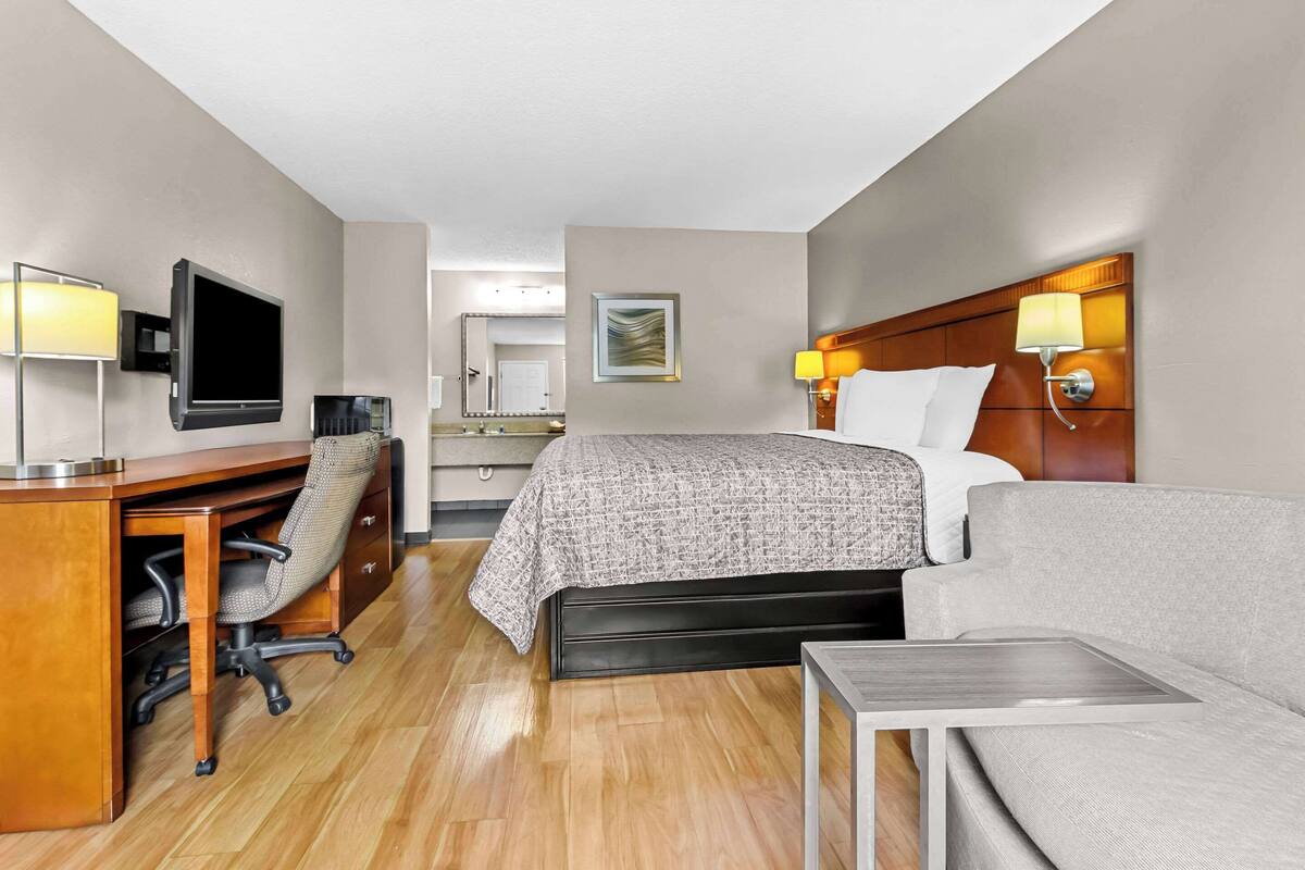 A hotel room with a bed, a desk with a chair, a TV, a bedside table, and a lamp.