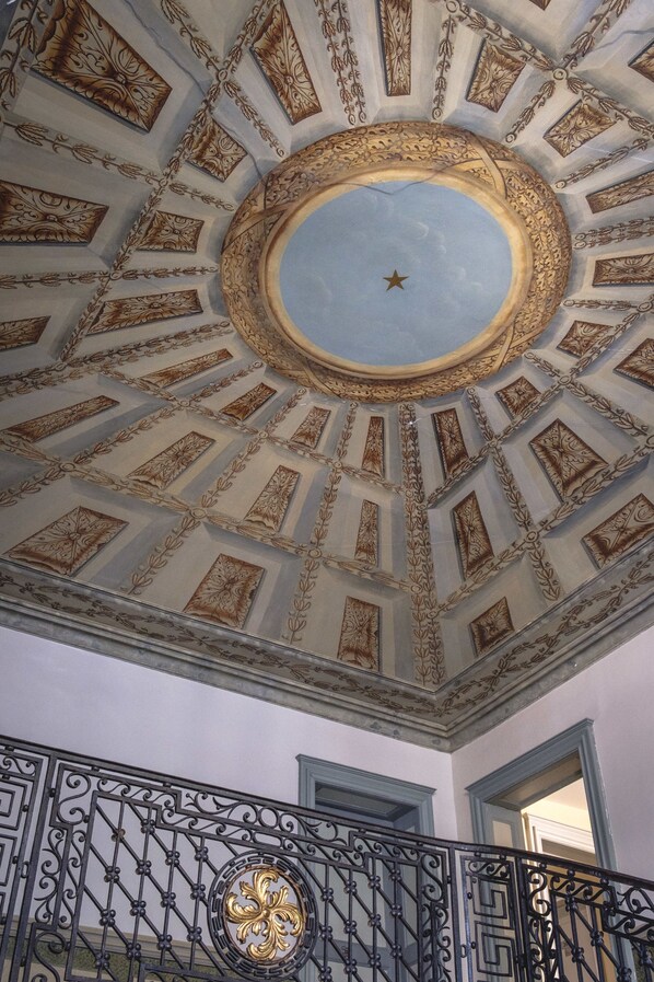 A ceiling with ornate patterns and a central star.