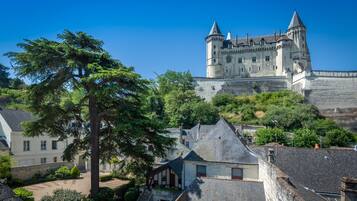Un castillo histórico con una muralla fortificada, un gran árbol en primer plano y edificios tradicionales en las cercanías.