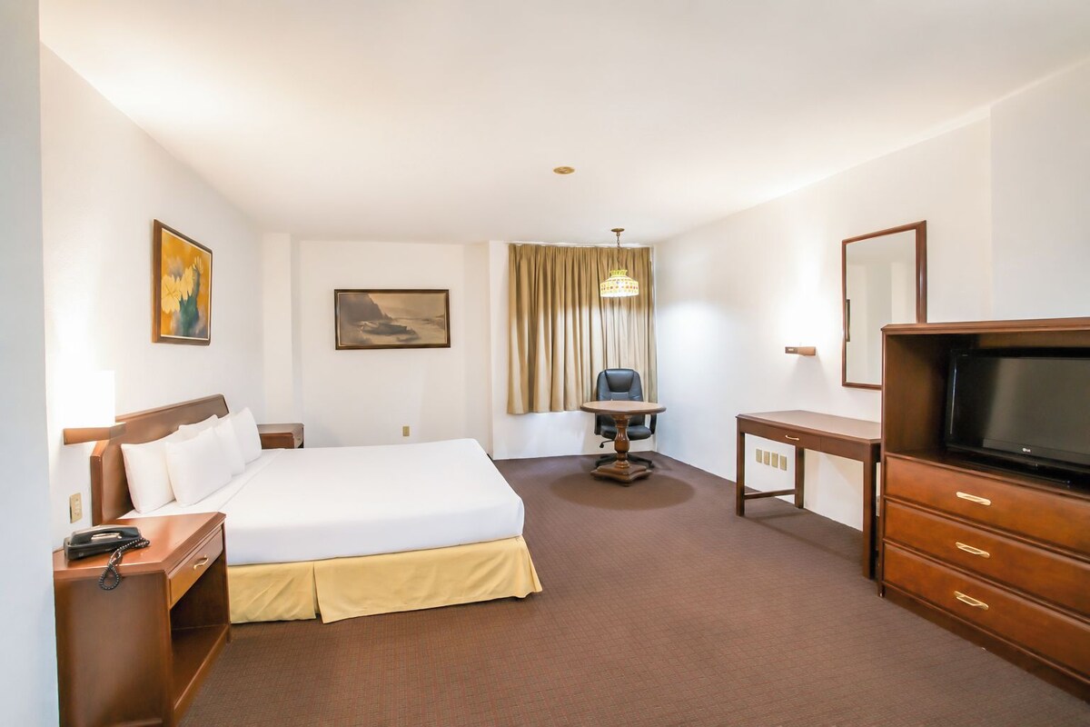 Habitación estándar, 1 cama King size | Escritorio, tabla de planchar con plancha, wifi gratis y ropa de cama