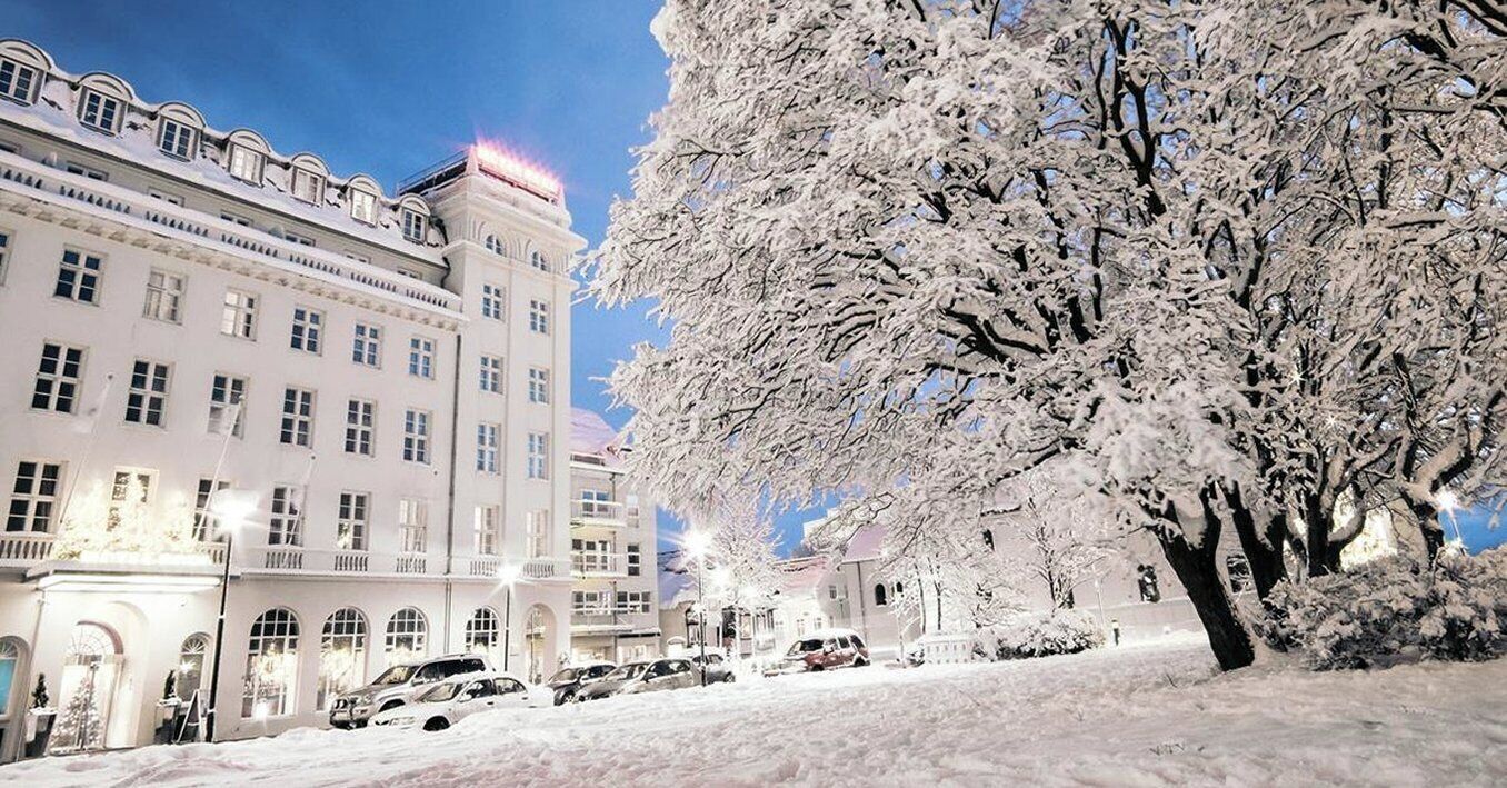A snow-covered building with multiple windows and a tree in the foreground.