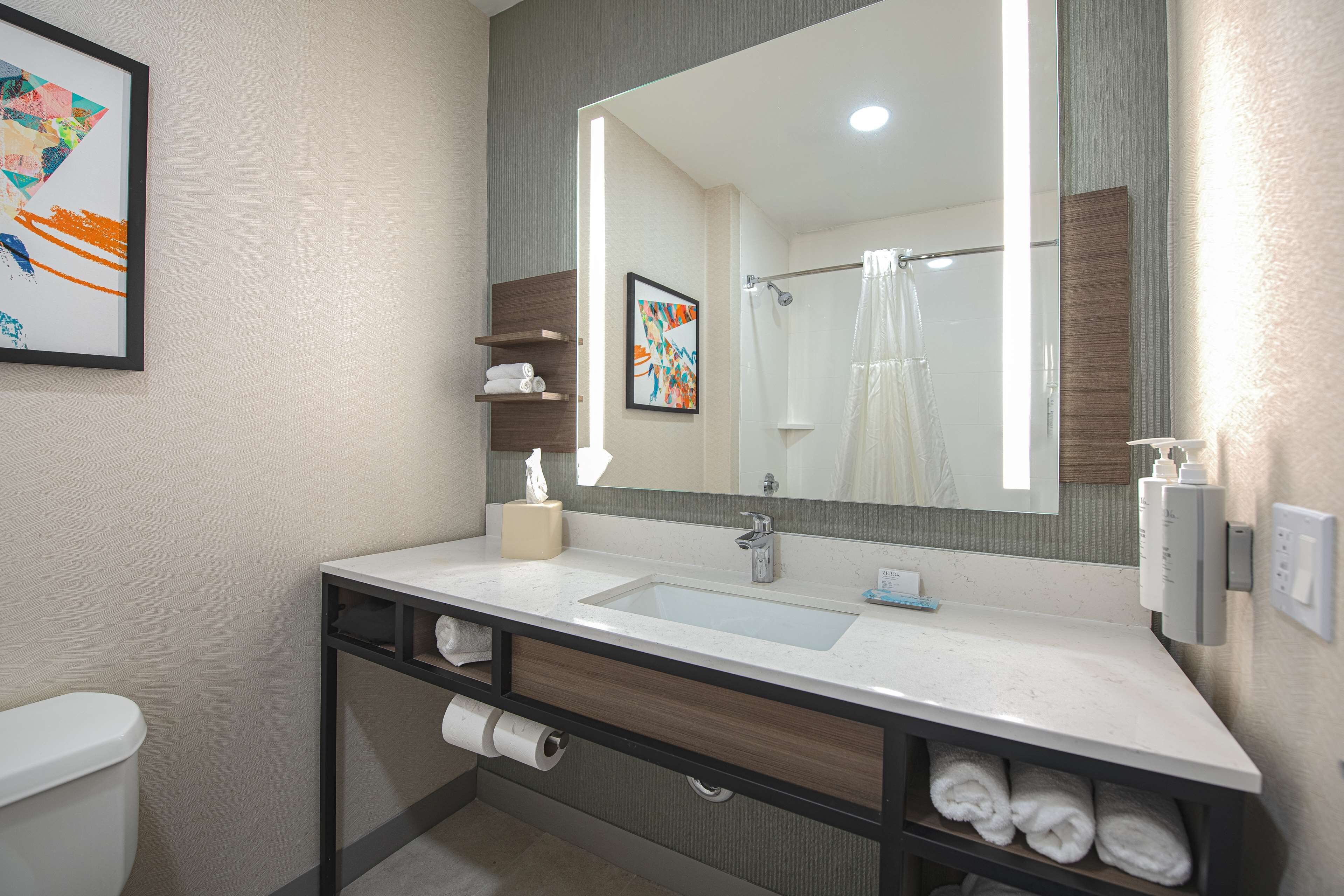 combined shower/bathtub, free toiletries, hair dryer, towels