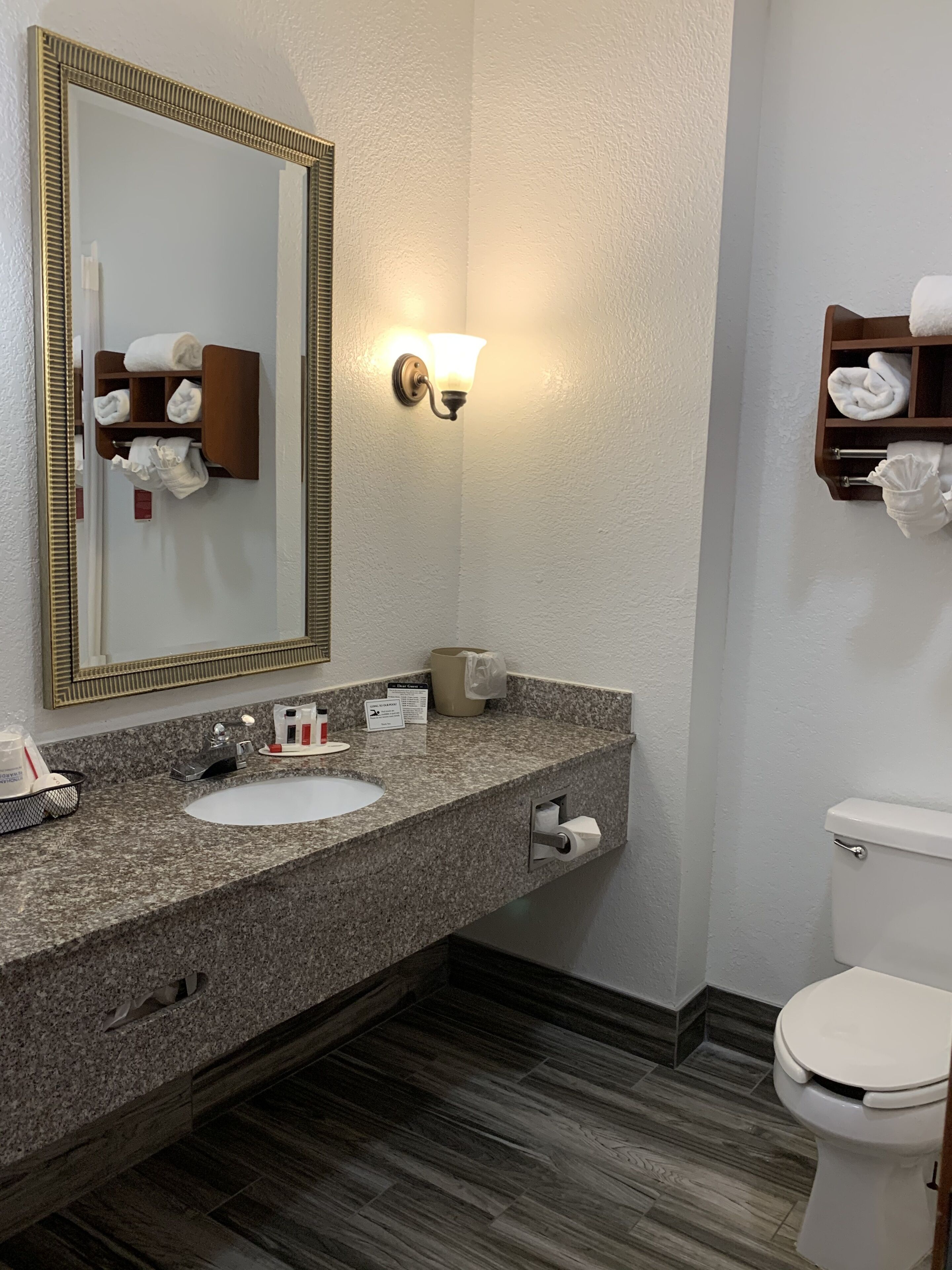 A bathroom with a granite countertop, two sinks, a mirror with a gold frame, a towel rack, a toilet, and a wall-mounted light fixture.