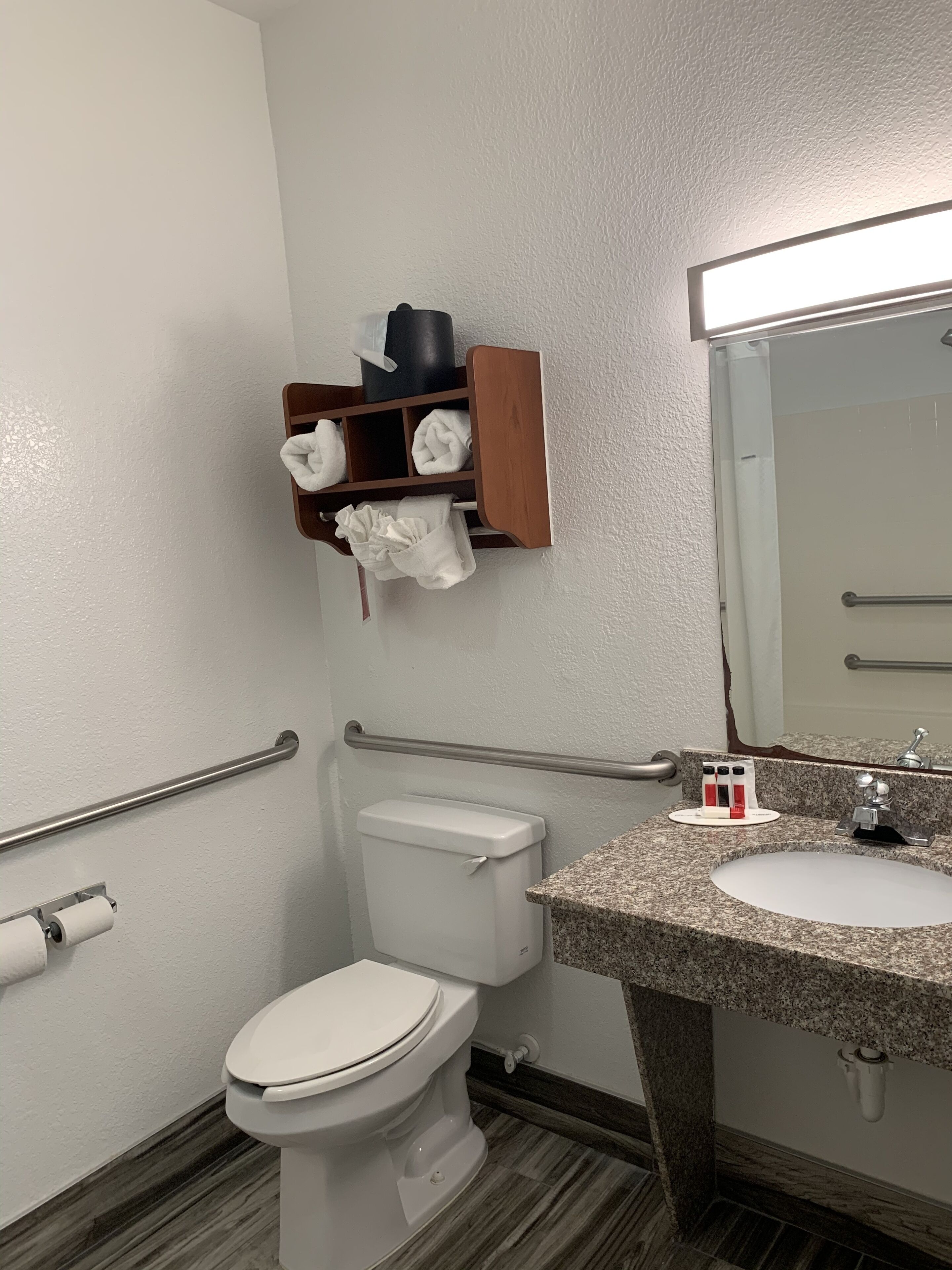 A bathroom with a toilet, a sink, a mirror, a towel rack, and a handrail.