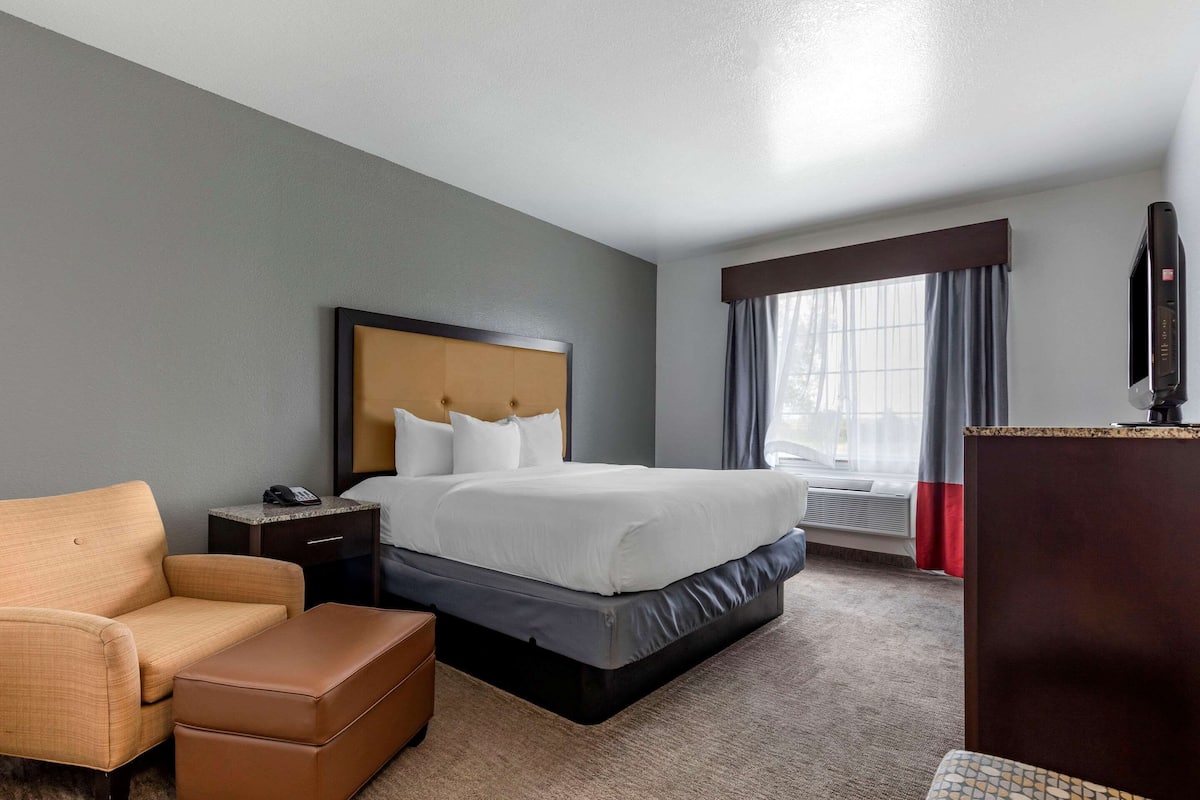 A hotel room with a bed, a sofa, a small table, and a TV.