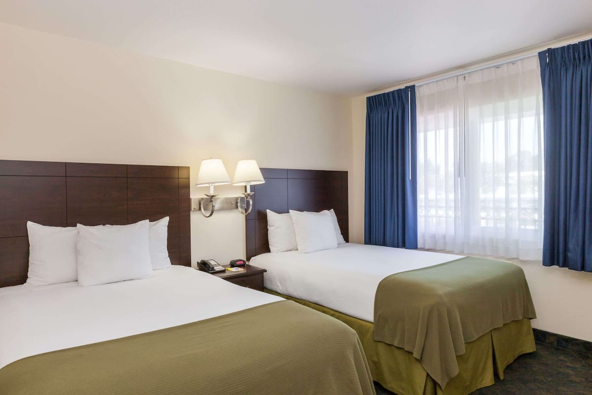 Standard Room, 2 Double Beds | Desk, iron/ironing board, free cots/infant beds, free WiFi