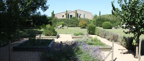 A garden with a building in the background.