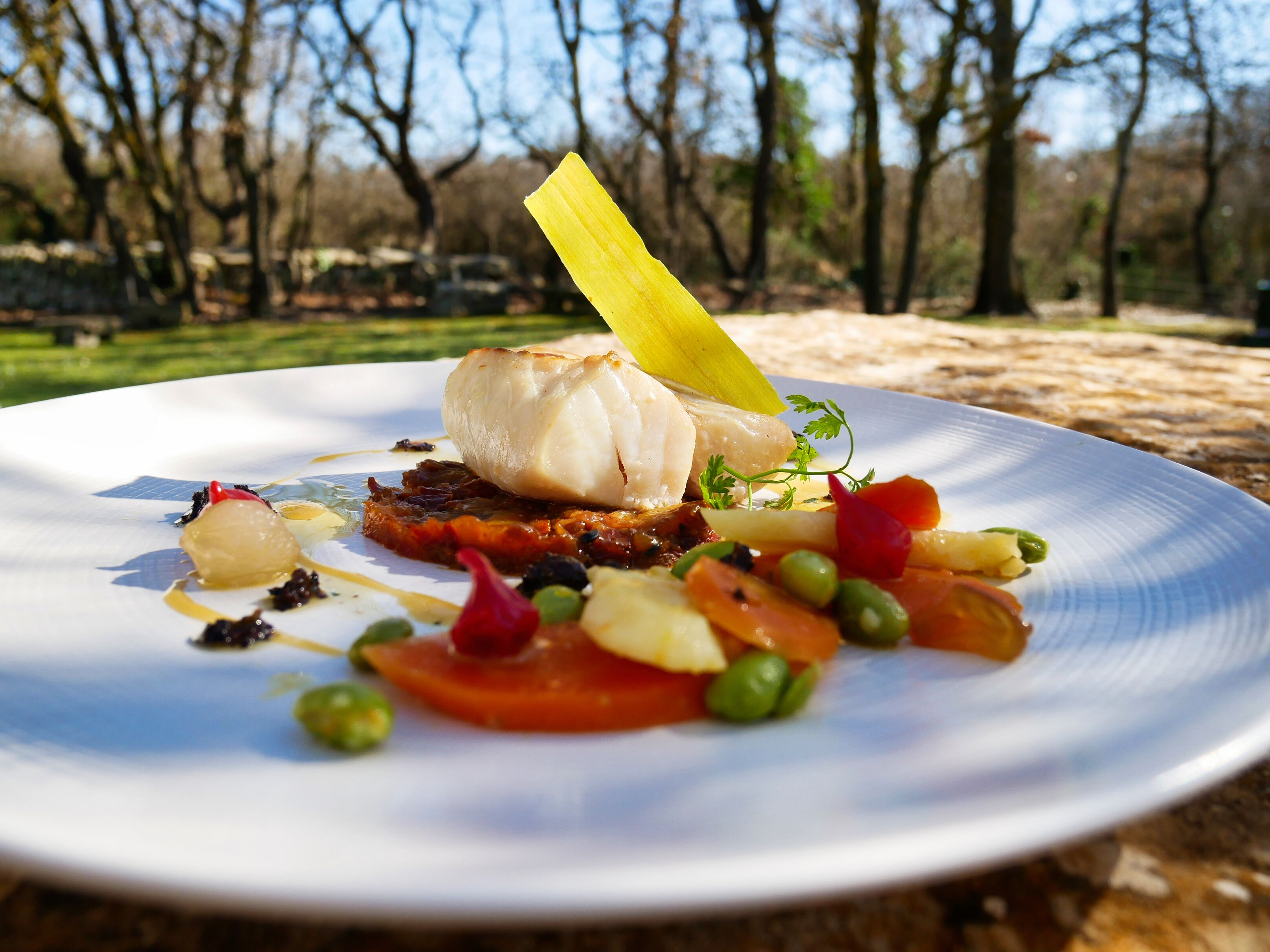 Un plato blanco con un filete de pescado, verduras y una guarnición amarilla sobre una mesa al aire libre.