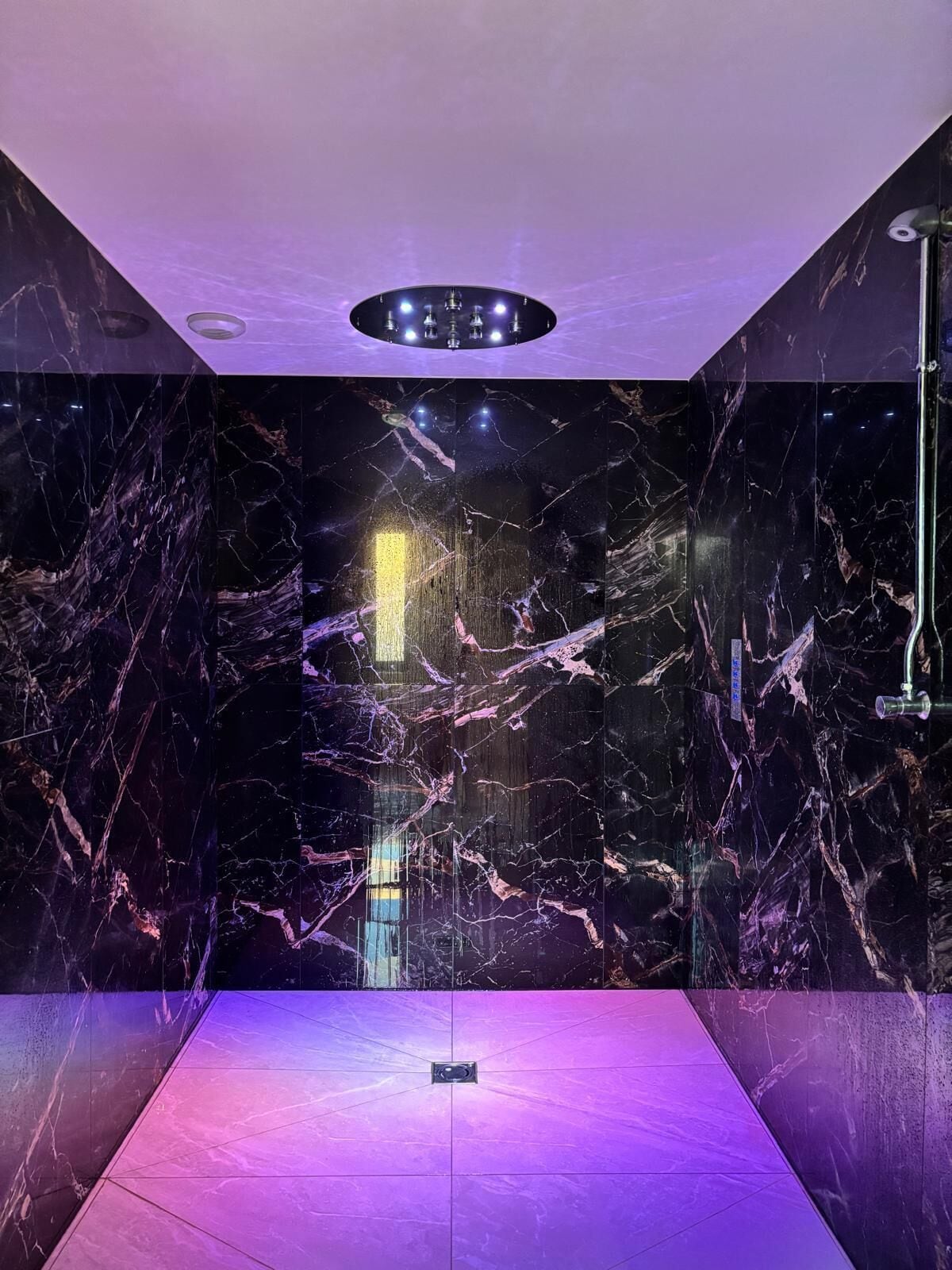 A modern bathroom with dark marble walls, a central light fixture, and a visible shower area.