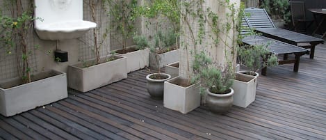 Terras