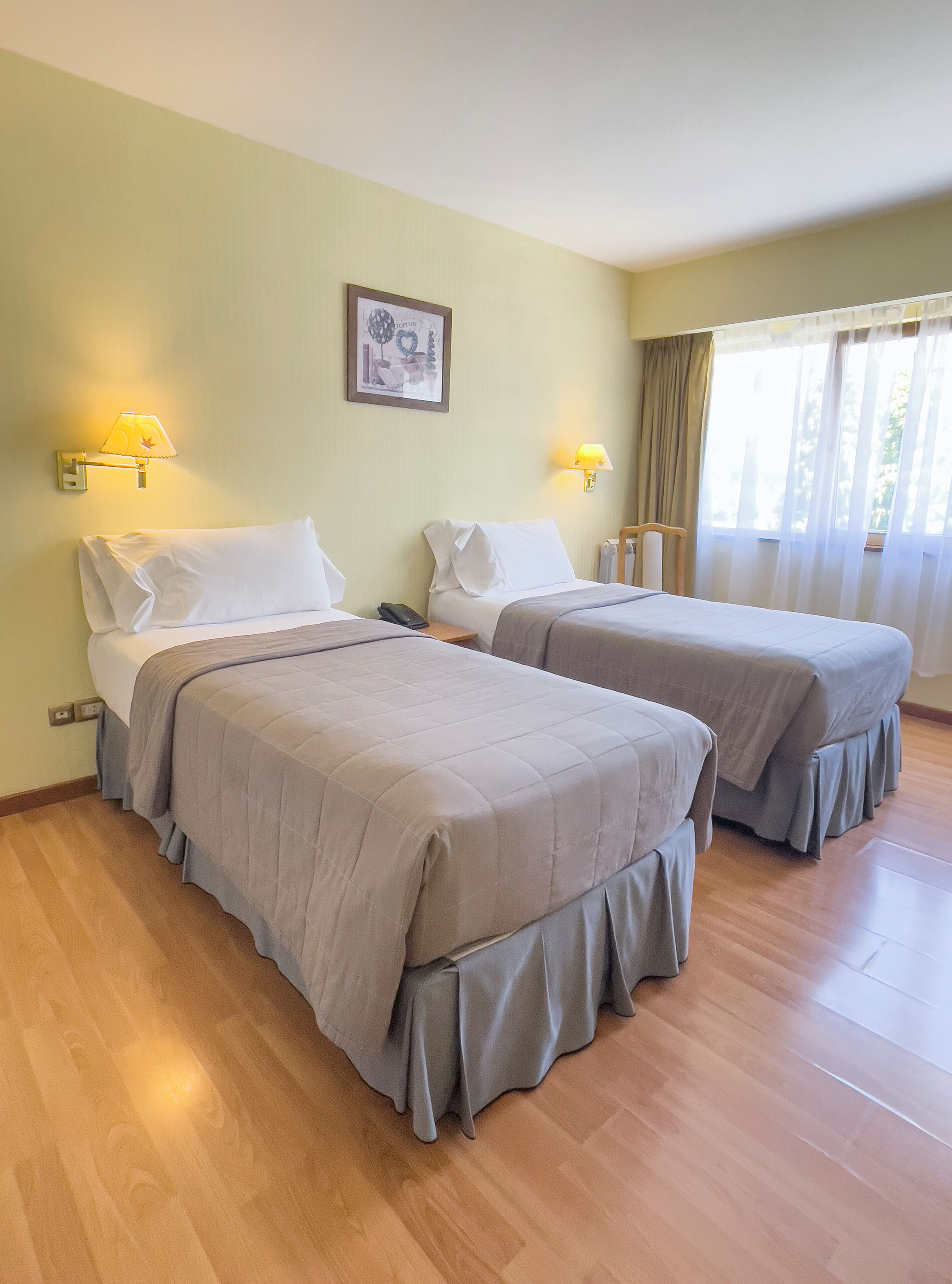 Dos camas individuales con ropa de cama gris, un cuadro en la pared y una ventana con cortinas.