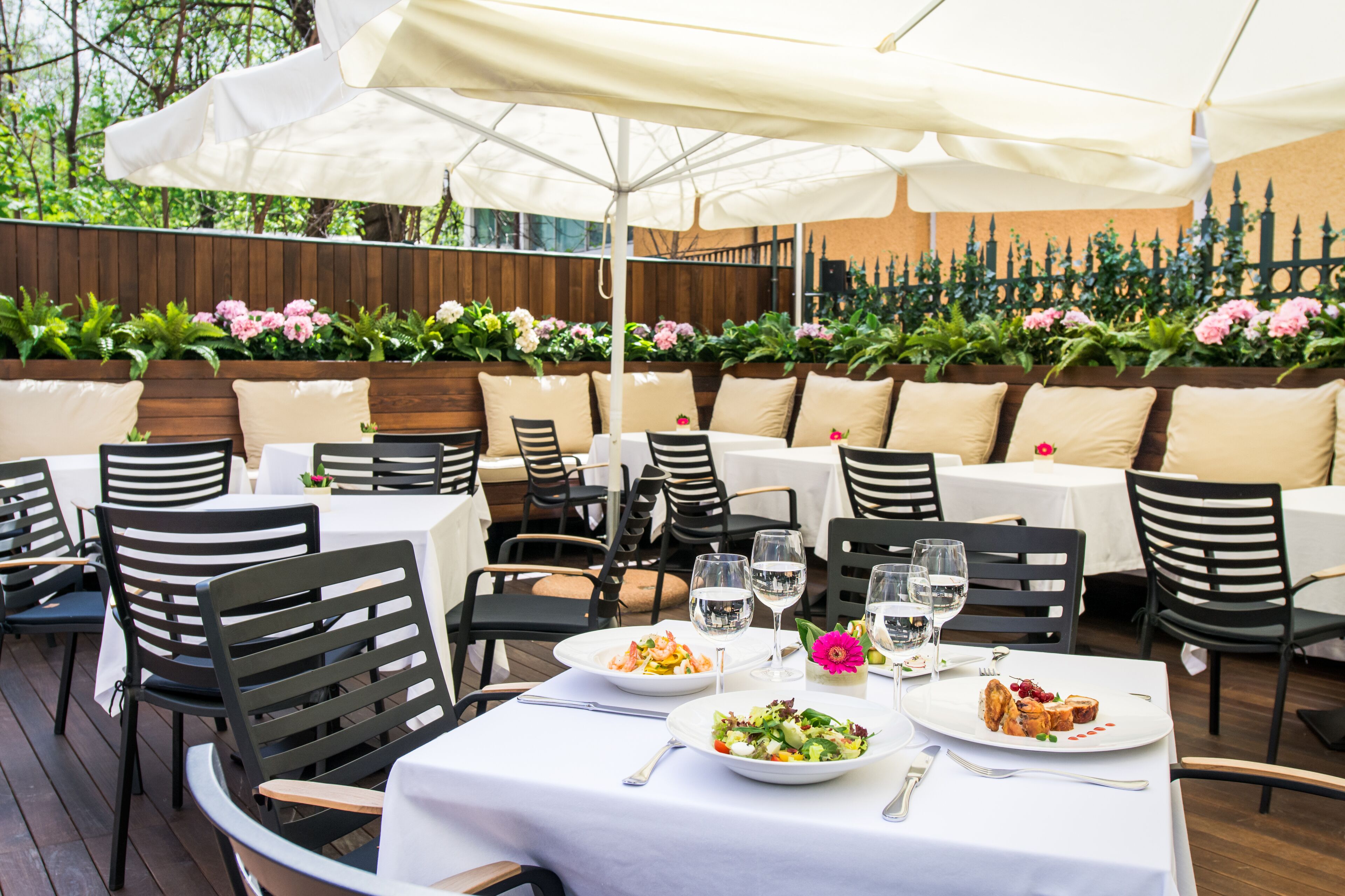 供應午餐和晚餐